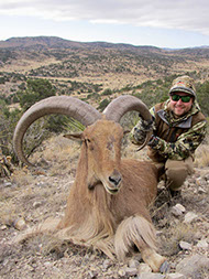 Aoudad Sheep hunting in Texas