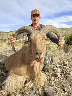 Aoudad sheep hunting in Texas