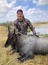 Hunting Nilgai Antelope in Texas