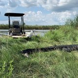 2020 Alligator Hunt