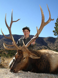 hunting elk in texas