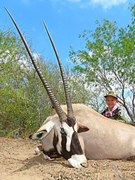 Oryx hunting