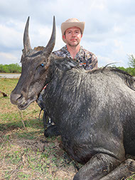 Hunting Nilgai Antelope in Texas
