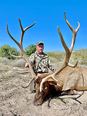 Hunting Elk Photos